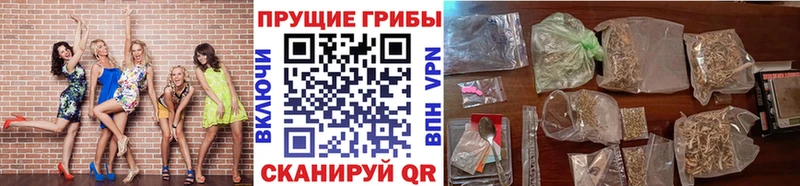 Галлюциногенные грибы ЛСД  ОМГ ОМГ как войти  Чусовой 