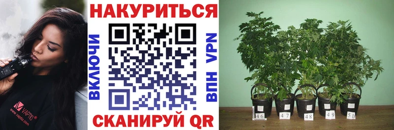 купить наркотик  Чусовой  Бошки марихуана White Widow 